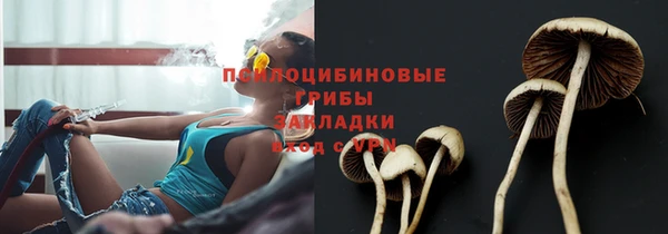спиды Алексеевка